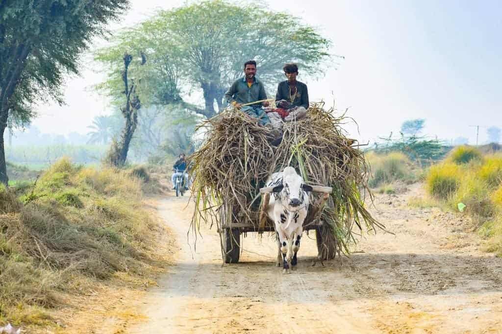 saraiki everyday life